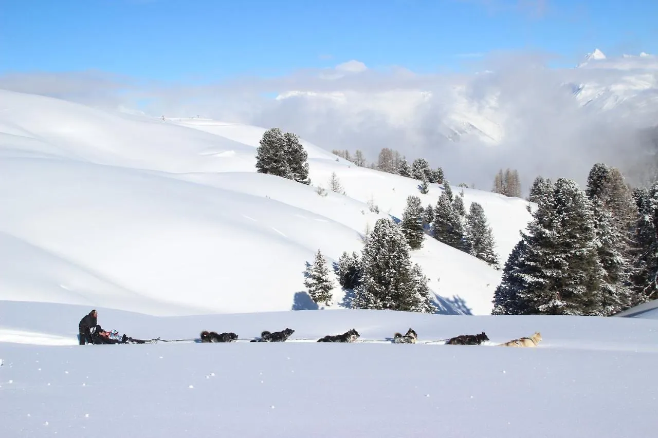 Chalet Bouquetin- Tetras Lyre 2 To 4 People Apartment La Plagne